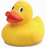 Rubber Duck